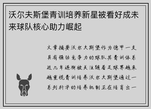 沃尔夫斯堡青训培养新星被看好成未来球队核心助力崛起